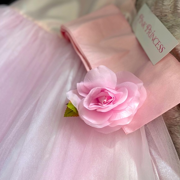 Pink Princess NWT- Blossom Poly Silk Bodice, Tulle Dress w/ Flower & Sash - Picture 2 of 9